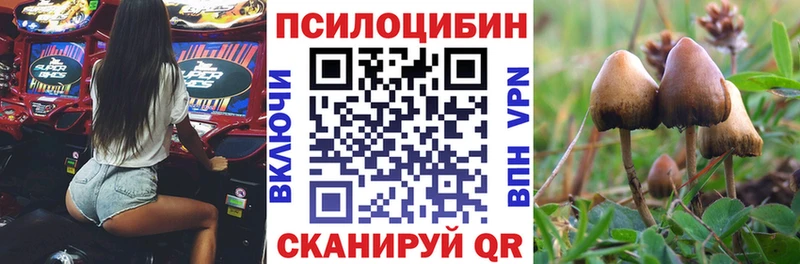 Псилоцибиновые грибы Magic Shrooms  Лермонтов 